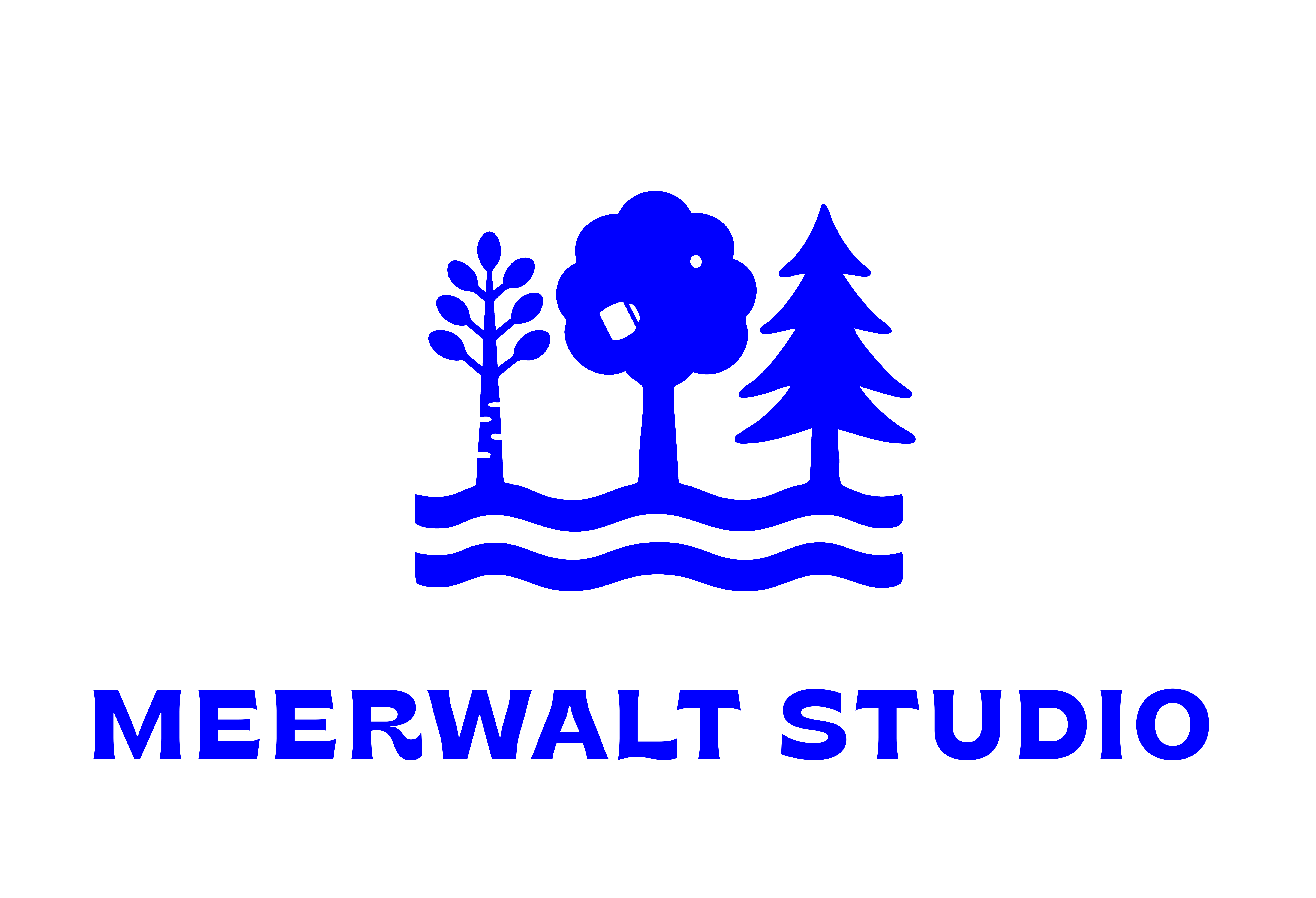 Meerwalt Studio